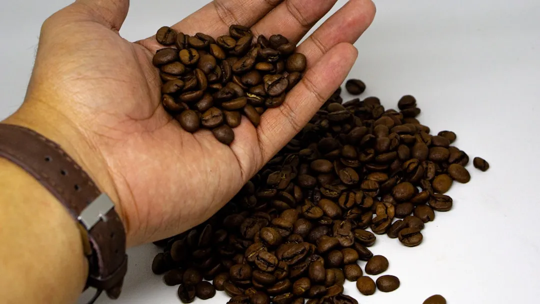 Best Decaf Coffee Beans: Flavor Without the Jitters (2025 Review)