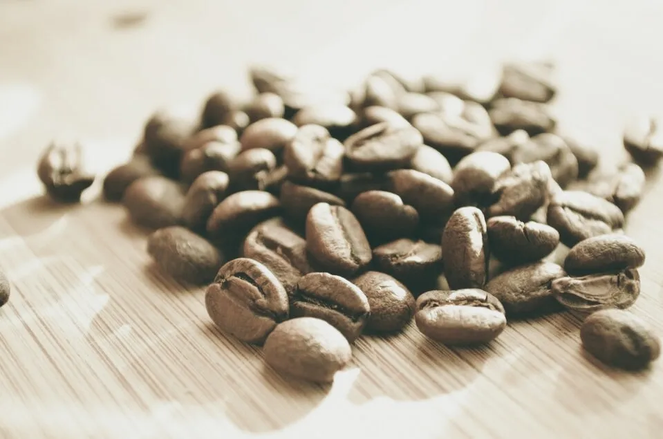 Freezing Coffee Beans: The Ultimate Guide to Extending Freshness (And When Not To)