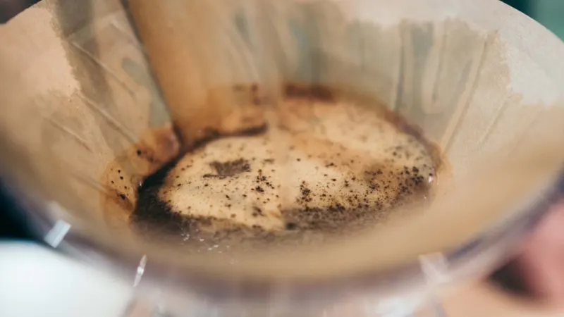 How to Brew Light Roast Coffee for Maximum Flavor & Sweetness