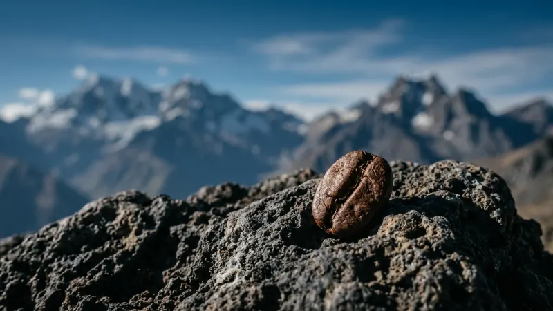 The Secret to Better Coffee: Why Altitude Matters for Flavor