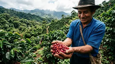 Unlock Guatemalan Coffee: Regions, Profiles & Top Picks