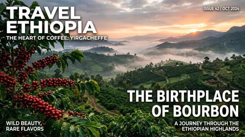 Unlock Yirgacheffe's Magic: Brewing Tips & Flavor Guide